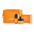 Celebrate the Truth - Gift Set