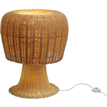 Amanita lampe