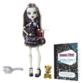 Monster High Core Doll - Frankie Stein