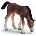 Schleich Araber Føl, Græssende