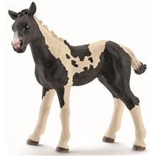 Schleich Etårigt Pinto Føl