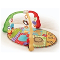 Fisher Price Musical Mirror Activity Gym