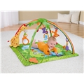 Rainforest Melodies & Lights Deluxe Gym