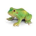 Frø