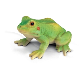 Frø