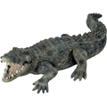 Krokodille