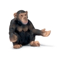 Chimpanse Hun