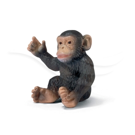 Chimpanseunge