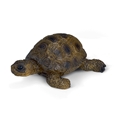 Skildpadde