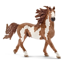 Pintohingst