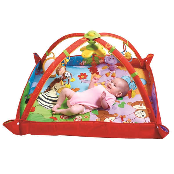 Tiny Love Babygym Move and Play