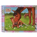 Horses Dreams Malebog