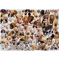Puslespil 1000 Brikker Collage Med Hunde