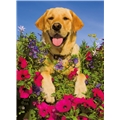 Puslespil 200 Brikker XXL Golden Retriever