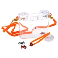 3D Bugs Viewer