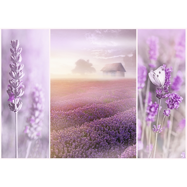 Puslespil 1000 Brikker Lavender Fields (Billede 2 af 2)