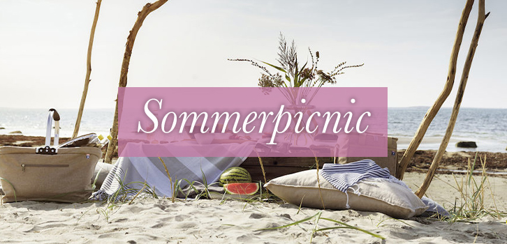 Alt til picnicen!