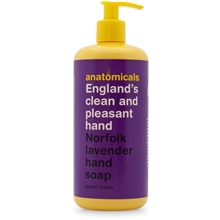 England's Clean and Pleasant Hand Hand Soap