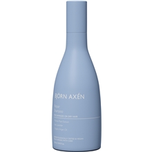 250 ml - Repair Shampoo