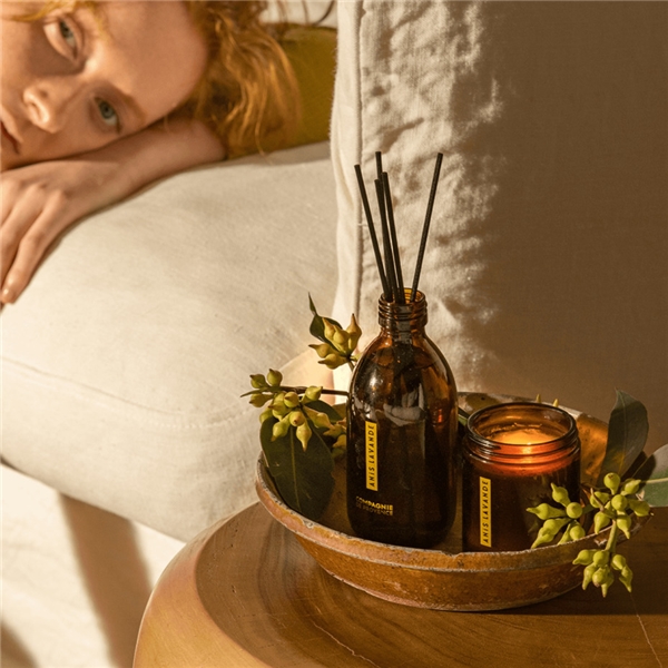 Fragrance Diffuser Anise Lavender (Billede 3 af 3)