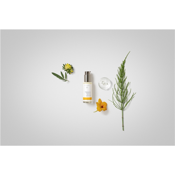 Dr Hauschka Balancing Day Lotion (Billede 2 af 2)