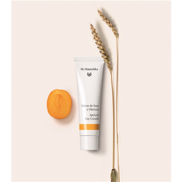 Dr Hauschka Apricot Day Cream (Billede 3 af 3)