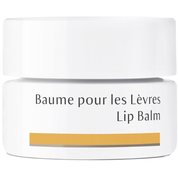 Dr Hauschka Lip Balm (Billede 1 af 2)