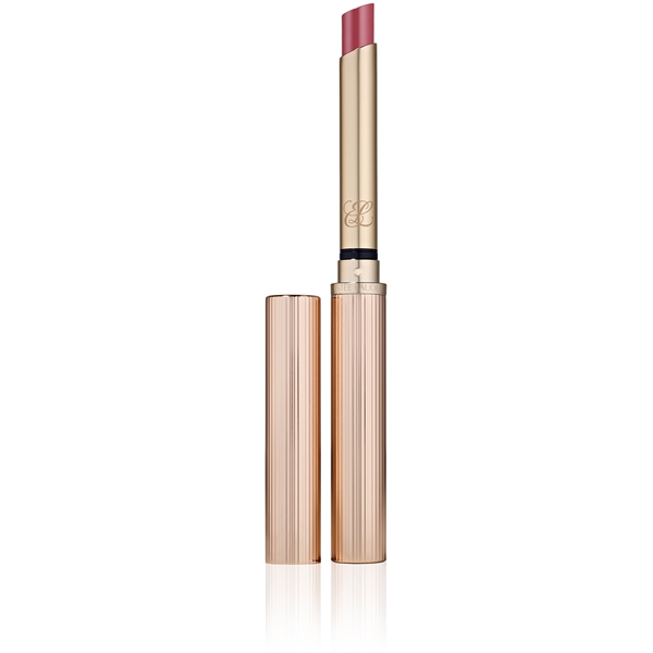 Pure Color Explicit Slick Shine Lipstick (Billede 1 af 5)