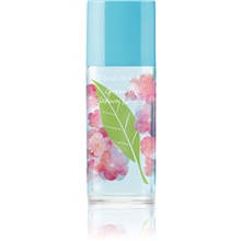 Green Tea Sakura Blossom - Eau de toilette