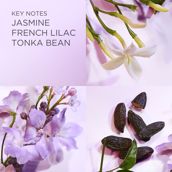 White Tea Eau Lilac - Eau de toilette (Billede 4 af 8)