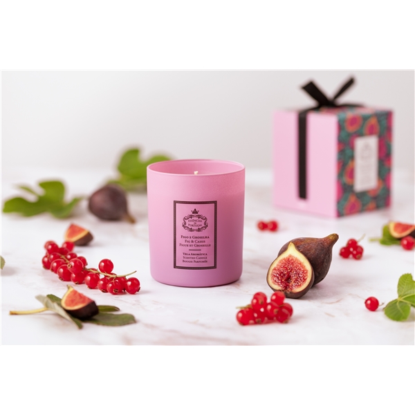 Essências de Portugal Candle Fig & Cassis (Billede 2 af 2)