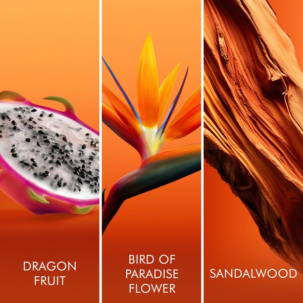 Escada Bali Paradise - Eau de toilette (Billede 3 af 7)