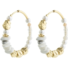 13242-2033 FORCE Hoop Earrings