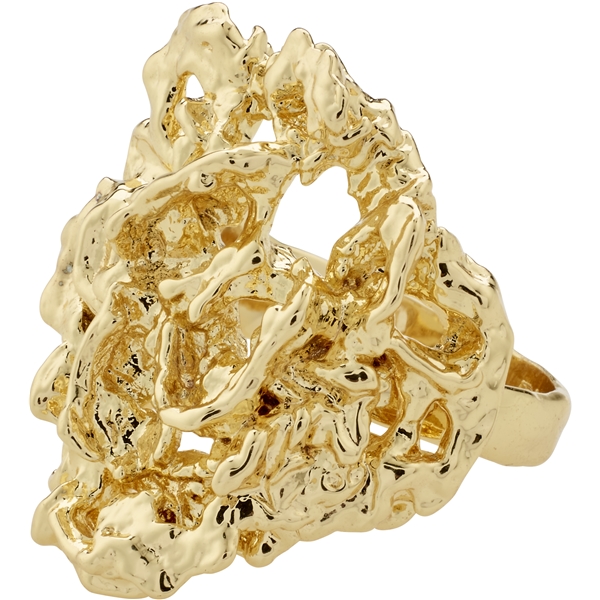10243-2004 ACT Ring (Billede 1 af 4)