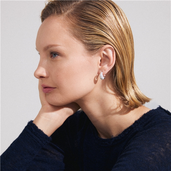 11243-6003 FOCUS Crystal Earrings (Billede 2 af 3)