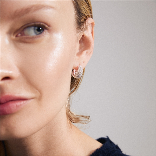 11243-6003 FOCUS Crystal Earrings (Billede 3 af 3)