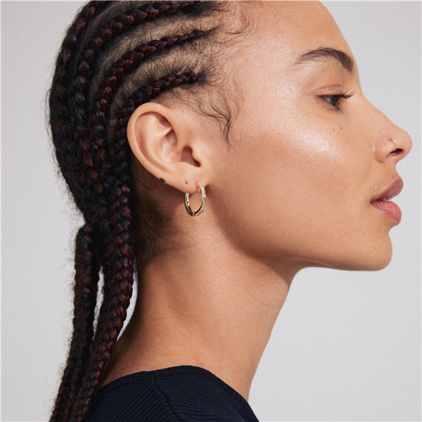 13243-2003 TRUE Hoop Earrings (Billede 4 af 5)