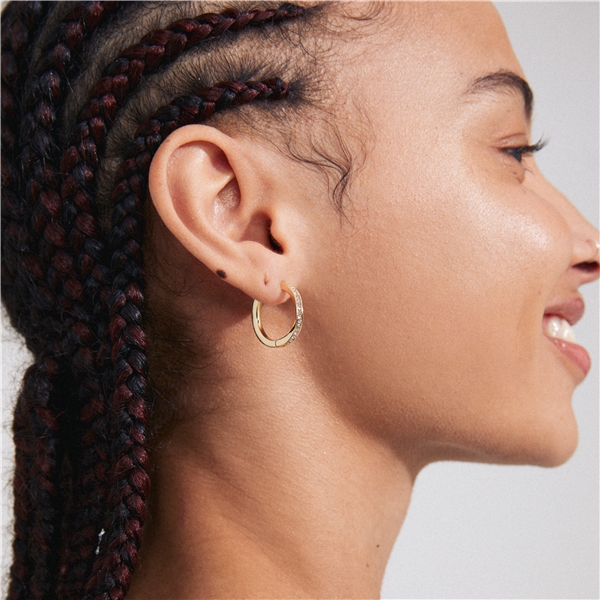 13243-2003 TRUE Hoop Earrings (Billede 5 af 5)