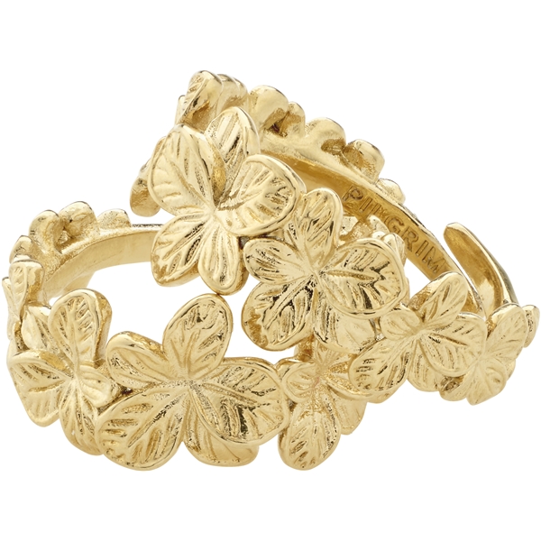 27243-2014 CHARMAINE Rings 2 In 1 Set (Billede 1 af 4)