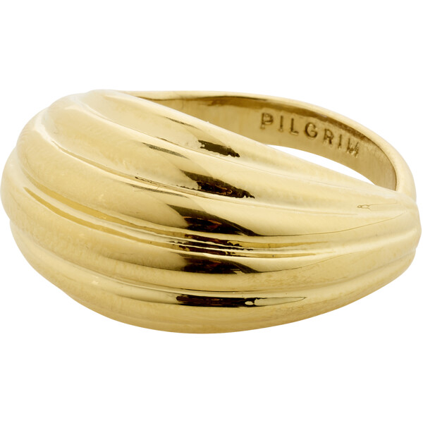 26252-2014 ASLE Ring (Billede 1 af 3)