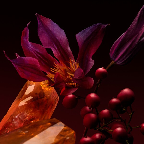 Boss The Scent For Her Elixir - Eau de parfum (Billede 4 af 7)