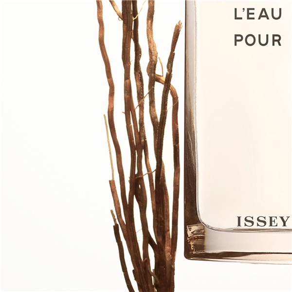 L'eau D'Issey Pour Homme Vetiver - Eau de toilette (Billede 6 af 10)