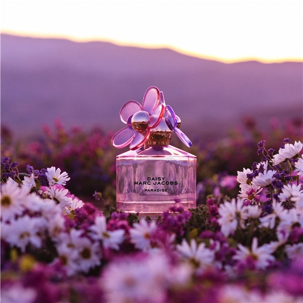 Daisy Paradise - Eau de toilette (Billede 4 af 5)