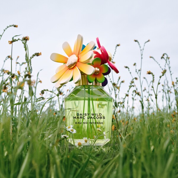 Daisy Wild Eau So Intense - Eau de parfum (Billede 5 af 9)