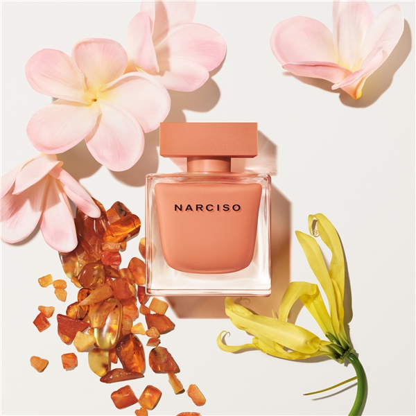Narciso Ambrée - Eau de parfum (Billede 6 af 7)