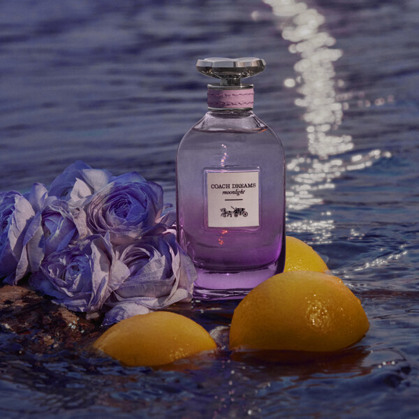 Coach Dreams Moonlight - Eau de parfum (Billede 3 af 5)