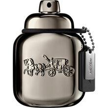 Coach Pure Platinum - Parfum 40 ml