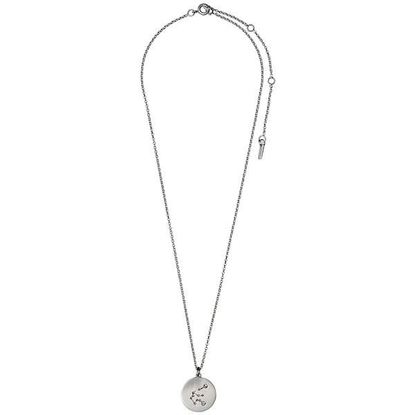 Aquarius Horoscope Necklace (Billede 2 af 2)