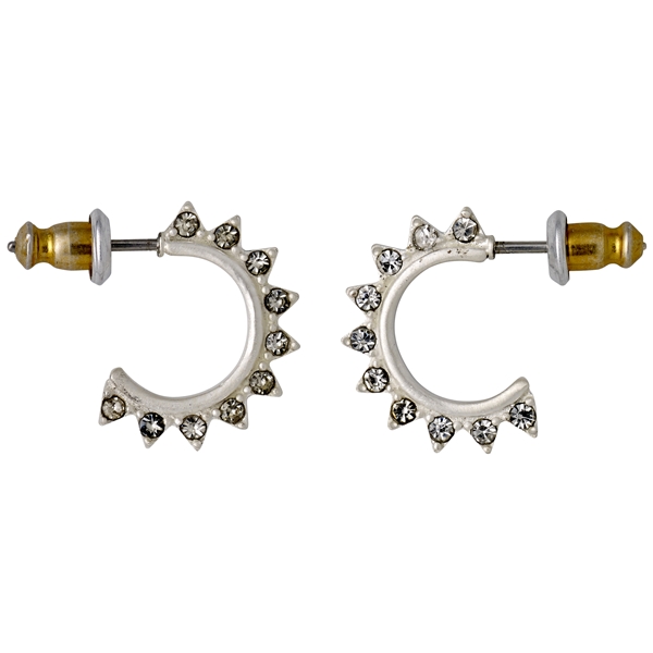 Silver Plated Studded Earrings