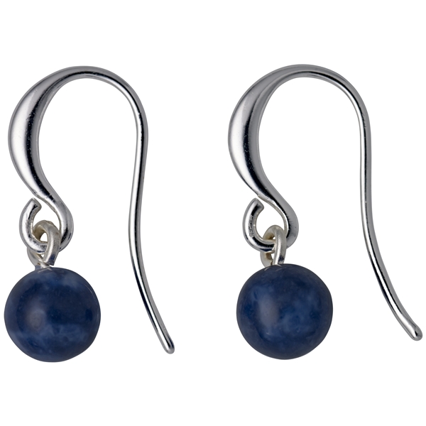 Silver & Blue Earrings